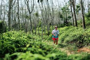 BIB: 
                            <button type="button" onclick="openModal(26355520)" class="btn btn-primary btn-sm float-right btn-popup" data-toggle="modal" data-target=".modal-high-quality">
                        <i class="fas fa-shopping-cart"></i> Add to Cart
                    </button>
                                            <button type="button" onclick="isThisMe(26355520, true)" class="btn btn-success btn-sm float-right btn-popup btn-isme hidden" data-toggle="tooltip" data-placement="bottom" title="นี่คือรูปของคุณใช่ไหม คลิกที่นี่เพื่อเอาเข้าอัลบั้ม">
                        <i class="fas fa-plus"></i> Add to album
                    </button>
                    <button type="button" onclick="isThisMe(26355520, false)" class="btn btn-warning btn-sm float-right btn-popup btn-isnotme hidden">
                        <i class="fas fa-ban"></i> Remove from album
                    </button>